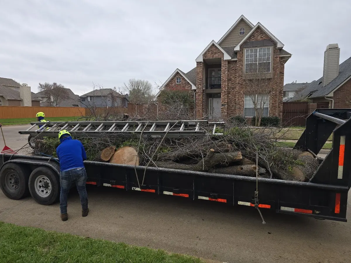 Expert Tree Fertilization with proper safety equipment in Micanopy